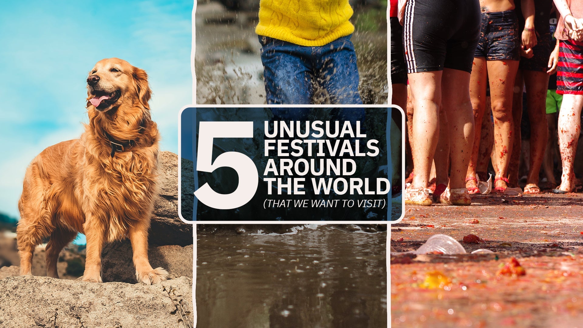 5 Unusual Festivals Around The World (That We Want To Visit) | Trtl ...
